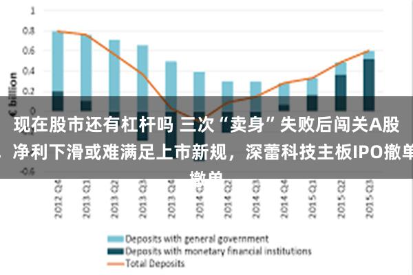 现在股市还有杠杆吗 三次“卖身”失败后闯关A股，净利下滑或难满足上市新规，深蕾科技主板IPO撤单