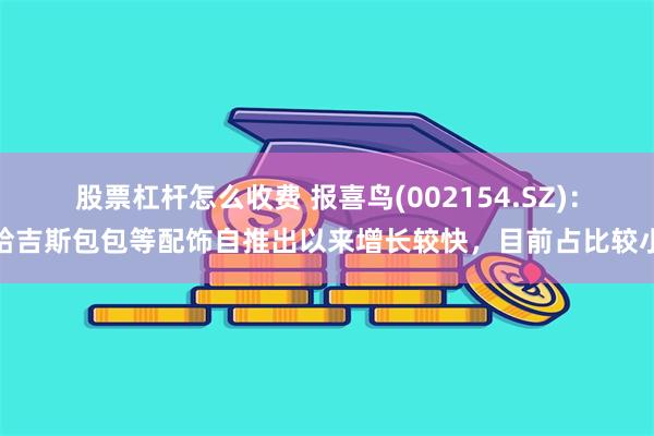 股票杠杆怎么收费 报喜鸟(002154.SZ)：哈吉斯包包等配饰自推出以来增长较快，目前占比较小