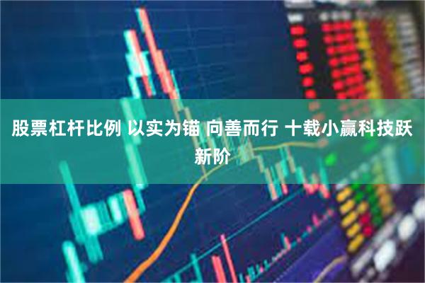 股票杠杆比例 以实为锚 向善而行 十载小赢科技跃新阶