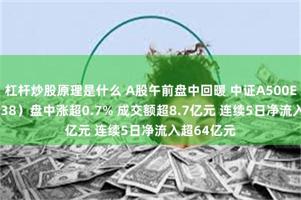 杠杆炒股原理是什么 A股午前盘中回暖 中证A500ETF（159338）盘中涨超0.7% 成交额超8.7亿元 连续5日净流入超64亿元