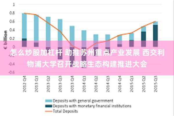 怎么炒股加杠杆 助推苏州重点产业发展 西交利物浦大学召开战略生态构建推进大会