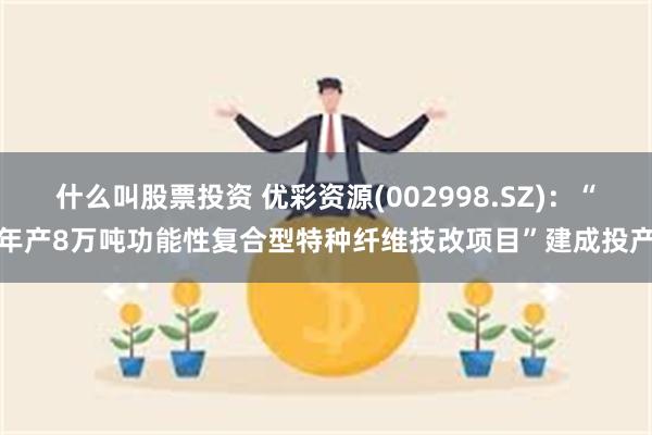 什么叫股票投资 优彩资源(002998.SZ)：“年产8万吨功能性复合型特种纤维技改项目”建成投产